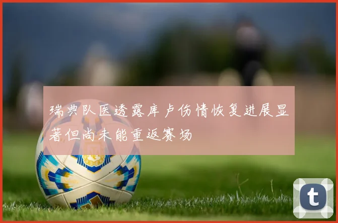 瑞典队医透露库卢伤情恢复进展显著但尚未能重返赛场